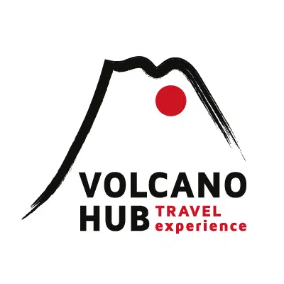 Scopri di più sull'articolo Caso studio SEO: VolcanoHub, viaggi in Giappone (e non solo)